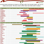 Healthy Eating Part 1: Follow the Seasonal Produce Calendar | The ...